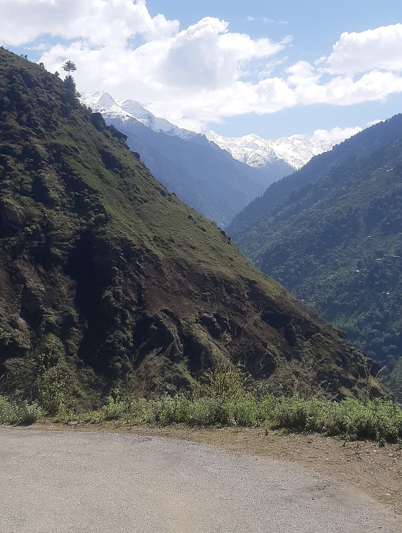 Day 7: Jalori Pass and Serolsar Lake Excursion